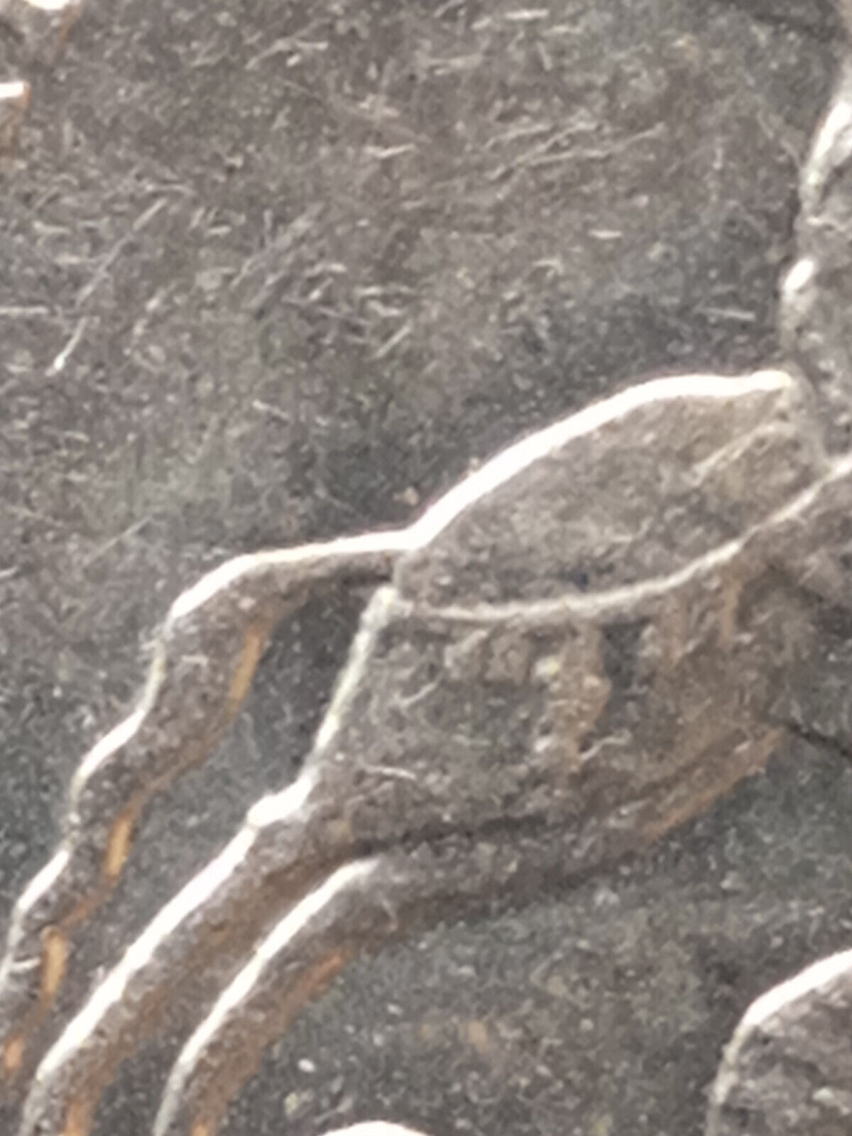Bild 23 von 24