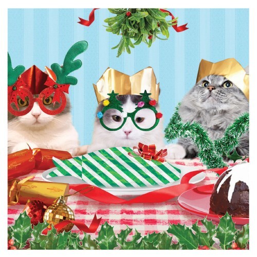 Our Very Own Charity Cat Christmas Card Packs - Midlands Animal Rescue - 10 Pk - Picture 4 of 36