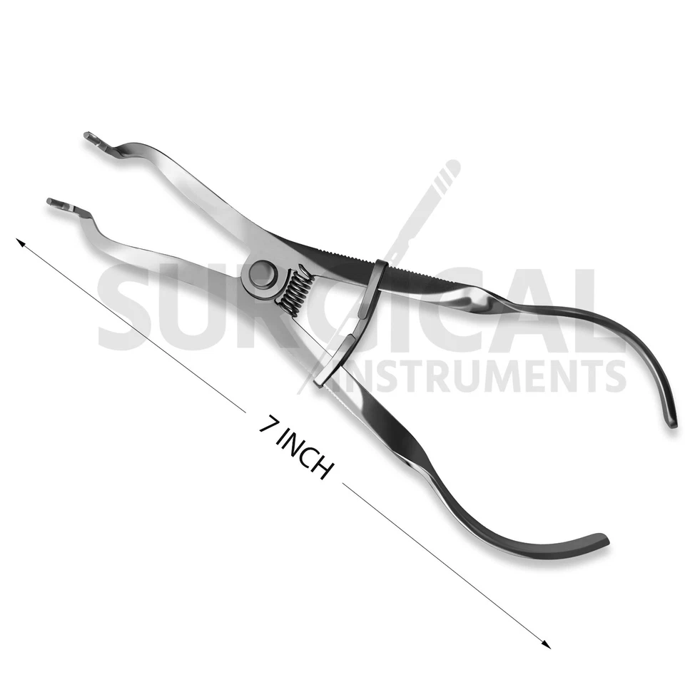 Kit de Presa de Goma Arrancador de 18 Piezas con Marco Pinzas Perforadoras Instrumentos Dentales Foto 2 de 4