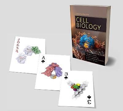 Zellbiologie Spielkarten Zellbiologie Spielen ca