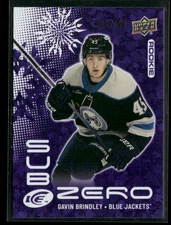 2024-25 Upper Deck Ice Sub Zero Rookies /699 Gavin Brindley #SZ-GB RC