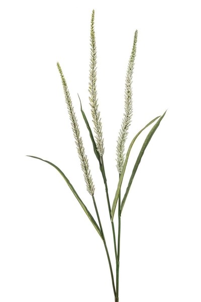 artplants Deko Zweig Federborstengras Fjora, Mit Rispen, Weiß, 115Cm-image