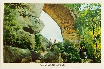 Natural Bridge State Park Red River Valley near Slade Kentucky Postcard