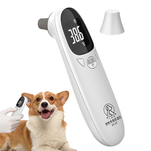 Premium Dog Thermometer For Pet Animal Horse Cat Veterinary Thermometers
