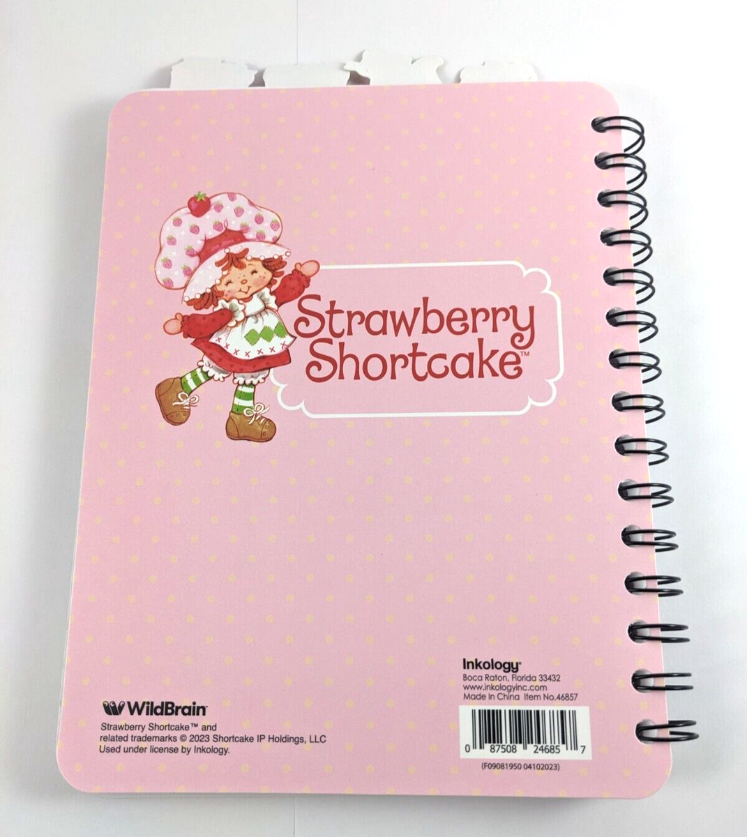 Strawberry Shortcake Vintage Style Notebook Small Pink
