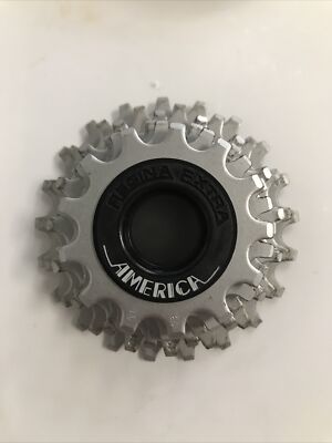 Roue Libre REGINA EXTRA AMERICA Vintage 6 Vitesses 13-18T - Parfait Pour Vélo De Route Rétro Style L'Eroica