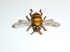 Picture 5 of 7