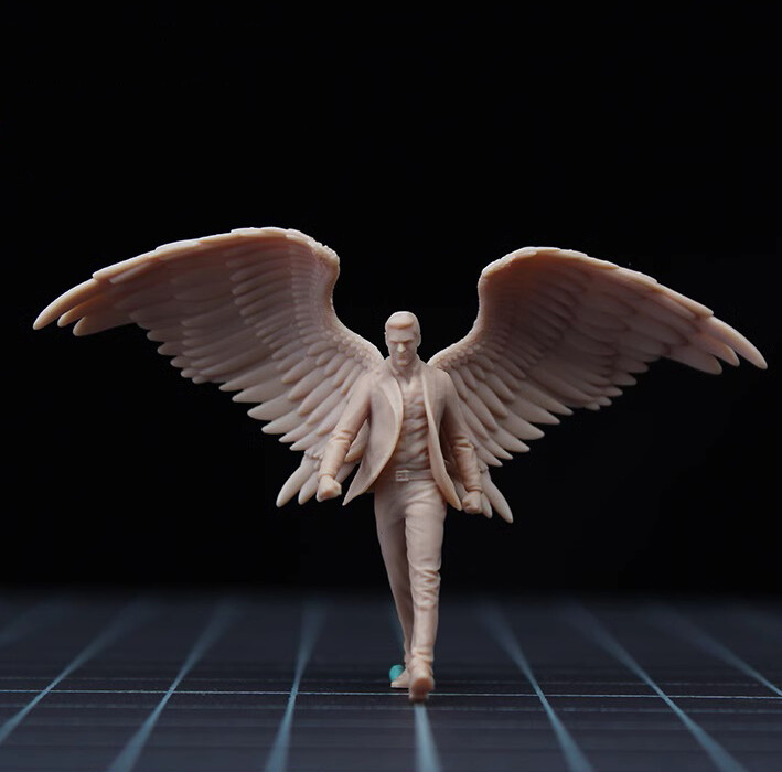 dimmoire Fallen Angel フーディ Port.jpg