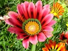 Bild 7 von 8