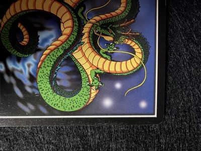 期間限定出品‼️［洋蘭原種］Cleisocentron gokusingii 期間限定出品‼️［洋蘭原種］Cleisocentron gokusingii Amazon.co.jp