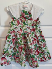 Polly Flinders Vintage Toddler Dress Size 3t Apples Floral READ