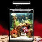 Glass Betta Aquarium Starter Kit W/ LED Light Power Filter Small Fish Tank Black