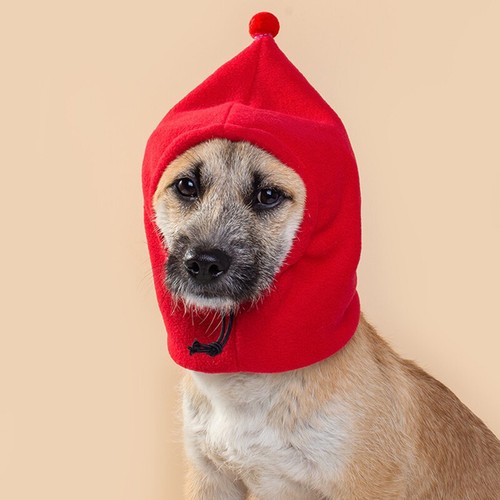 Winter Haustier Mützen Hund Beruhigende Mütze Fleece Warm für kleine und mittelgroße Hunde. - Bild 13 von 21