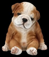 Bulldoggen Figur - Welpe K.O. By Hotant - ZüChter Hunde Deko Garten Tiere