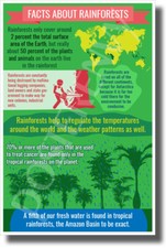 Rainforest Facts - New Environmental Awareness POSTER