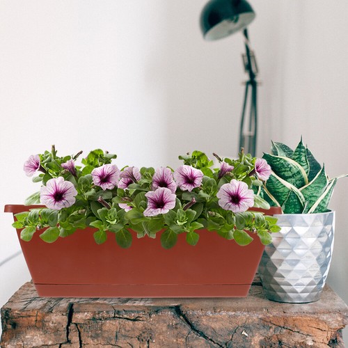 3 Pcs Rectangular Planting Trough Gardening Flowerpot Plants Basin - Picture 9 of 12