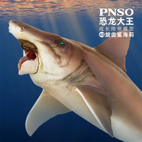 PNSO Helicoprion Haylee Modello Edestidae Squalo Figura Animali Collezionista Decorazione Regalo - Foto 1 di 5