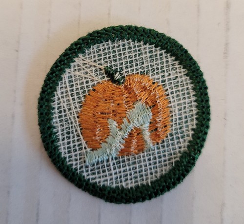 Girl Scout 1963-80 Cadette GOOD GROOMING BADGE Pumpkin Slipper Patch - Picture 2 of 5