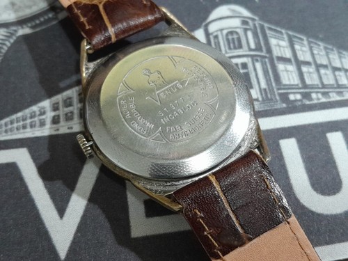1950 VENUS 36mm Golden Plated Cal Venus 202 19J 21.600 Sub Sec INCABLOC SERVICED - Bild 11 von 24
