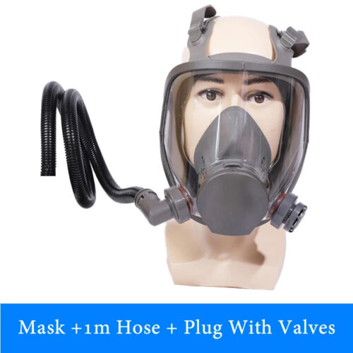 Electric Auxiliary Air Supply 6800 Full Face Gas Respirator For Work Safety - Picture 8 of 30