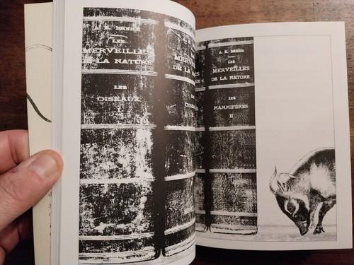 Roubaud Jacques Les animaux de personne Poémes illustrés par Borel et Cousseau - Bild 2 von 3