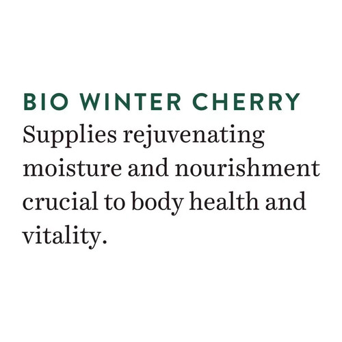 Biotique Winter Cherry Rejuvenating Body Lotion 120ml, kostenloser Versand weltweit - Bild 5 von 5
