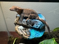 Magnetic Rock Ledges for Terrariums and Cages Works for all sorts of Reptiles