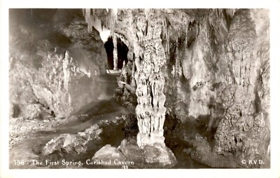 RPPC Postcard The First Spring Carlsbad Cavern New Mexico real photo