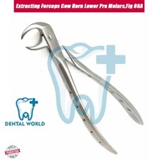 Premolari inferiori in corno di mucca, fig 86A manici traforati pinze estrazione dentale