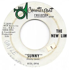 THE NEW LIME Sunny on Counterpart garage 45 HEAR