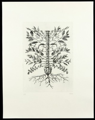''Plant of Opportunities'' 2023. Radierung Christoph KNECHT (*1983 D) handsigniert