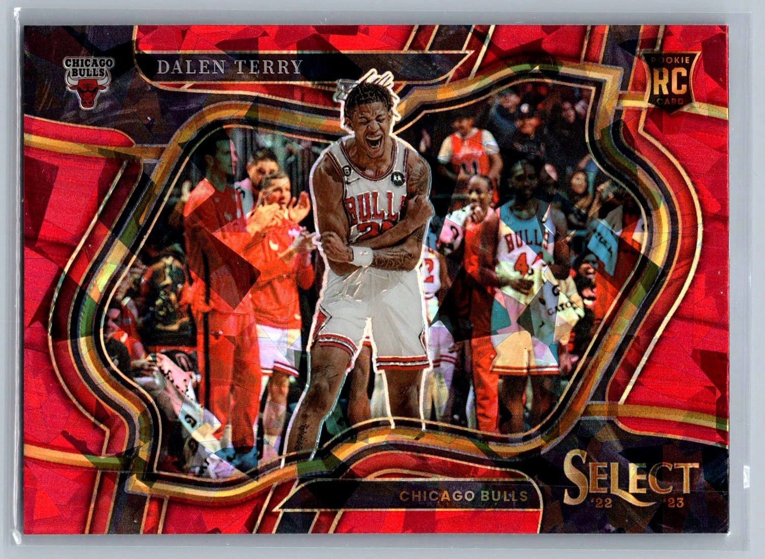 2022-23 Panini Select #275 Dalen Terry Red Cracked Ice Prizms