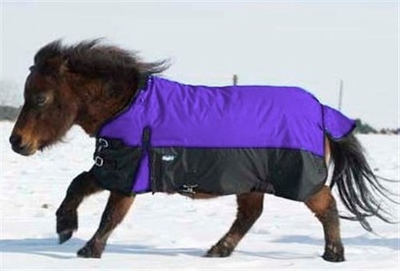 #ad Miniature Horse Winter Turnout Blanket Purple 600D Sizes 36quot; up to 51quot; $59.90