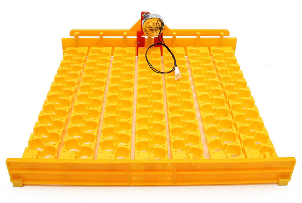 Cestello Incubatrice 60 Uova Con Rulli - Universale Per Galline, Quaglie, Anatre E Tacchini