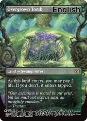 Overgrown Tomb (Borderless) - Lorwyn Eclipsed