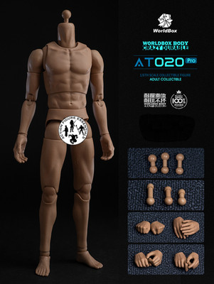 WorldBox AT020 Pro 1/6 Scale männlicher Muskelkörper mit Händen Hals Heringe NEU