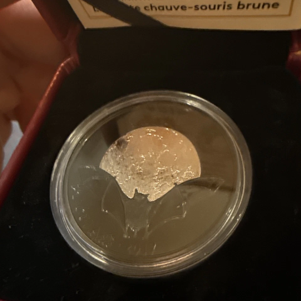 2017 $20 Canada Black Brown Bat 1oz Silver Round BOX/COA B293 - Image 3 of 3