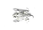 Tcu Horned Frogs Silver Mascot Ncaa College Football Basketball Pin