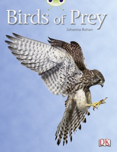 Birds of Prey (White A) NF (BUG CLUB)-Ms Johanna Rohan