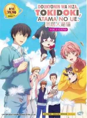 My Roommate Is A Cat (1-12End) Anime DVD English Dubbed All Region