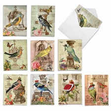 10 Assorted All Occasion Blank Note Cards with Envelopes - ROYAL BIRDS M2343OCB