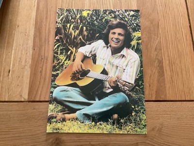 Don McLean - Concert Programme 1980.