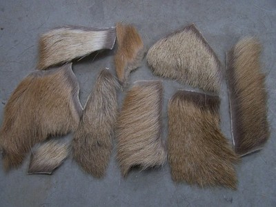74'' - 9 pc. Lot,  Natural Mtn. Bull Elk body for fly tying, caddis wing hair