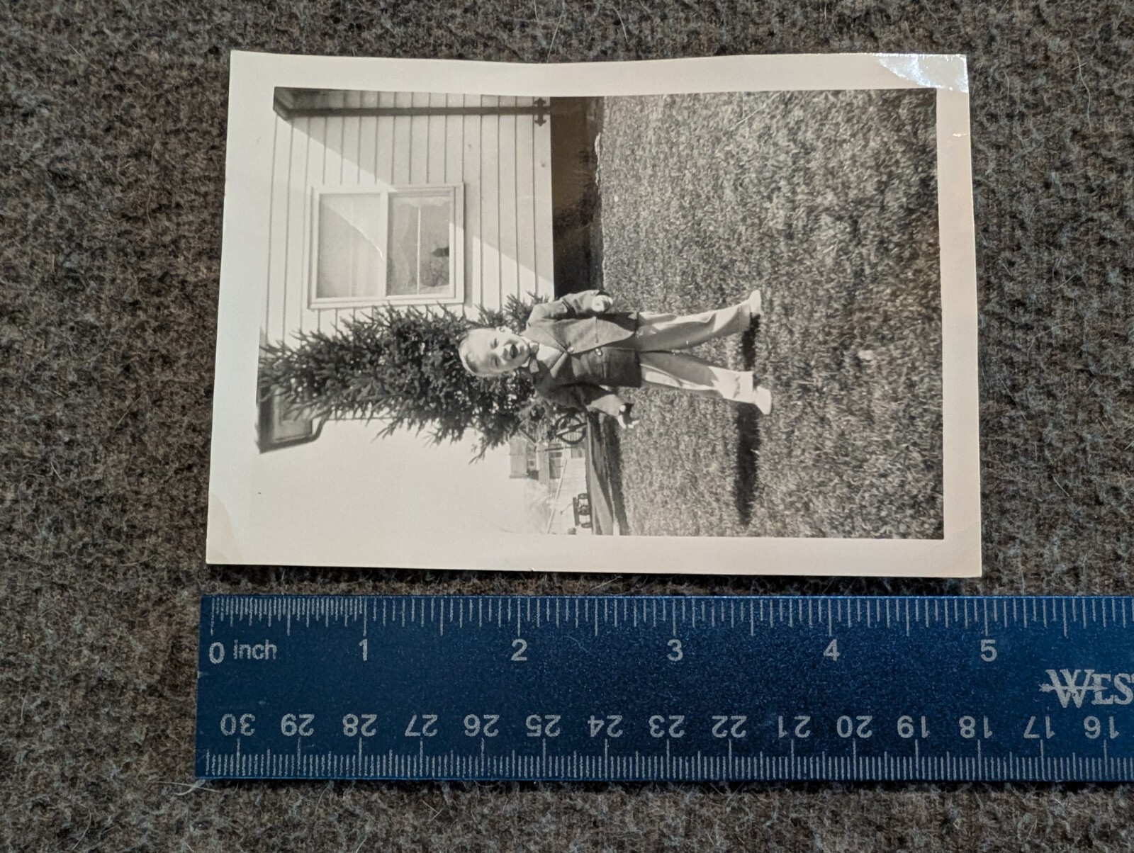 Picture 7 of 8