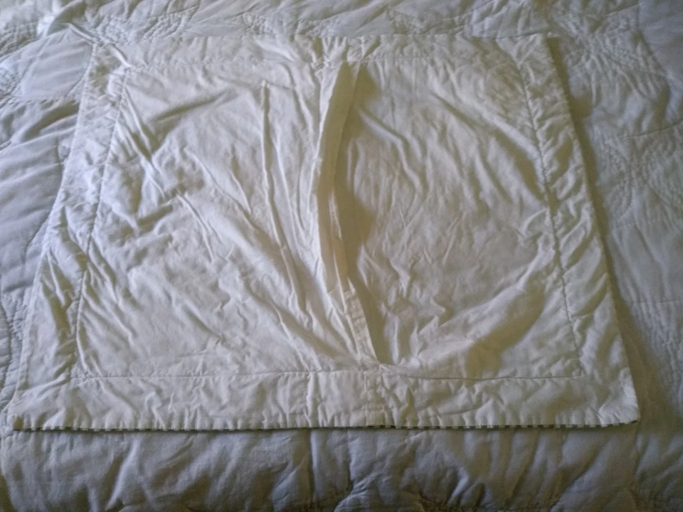 Винтажные арочные стеганые одеяла зеленый белый плющ и полоска стеганая наволочка 19 3/4 дюйма x 20,5 дюйма - Изображение 4 из 4