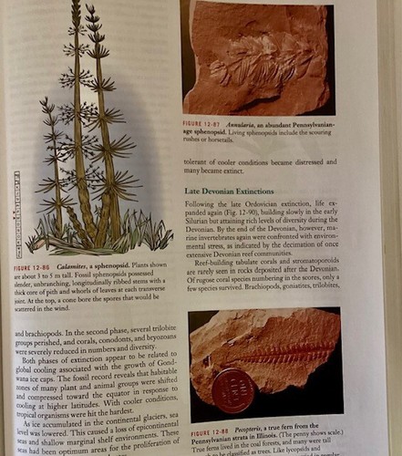 The Earth Through Time by Harold Levin Eighth Edition 2006 - Picture 3 of 4