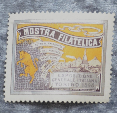 66199 1 Vignette Mostra Filatelica Torino 1898 Briefmarken Ausstellung