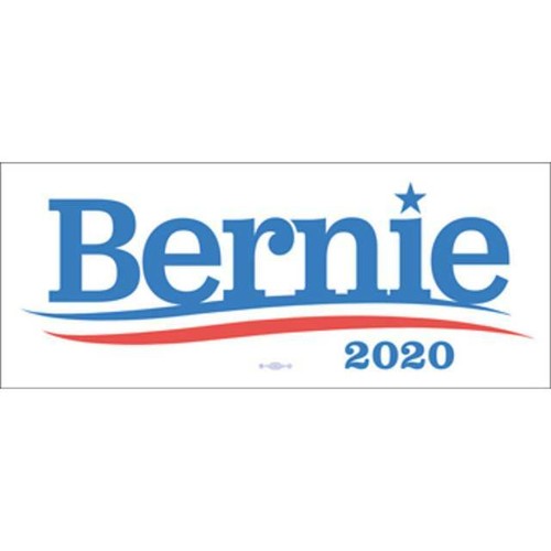 Bernie Sanders 2020 For President White Bumper Sticker Decal - 第 1/1 張圖片