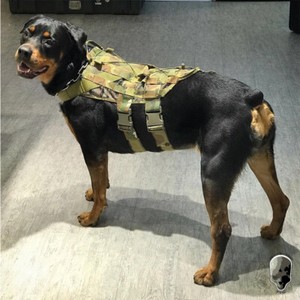 dog combat vest