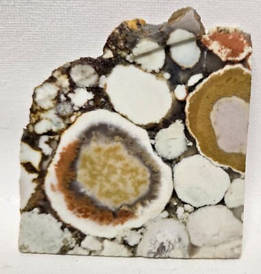 Orbicular King Cobra Jasper 76gm Natural Gem Lapidary Cabbing Slab Old Stock